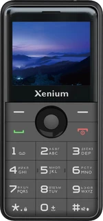 Сотовый телефон Xenium X700, черный 