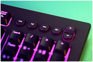 Клавиатура игровая Razer Cynosa V2, черный 