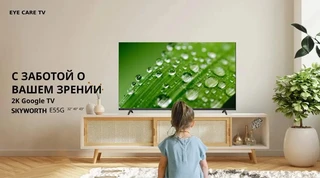 Телевизор 40" Skyworth 40E55G 