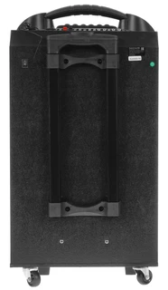 Портативная аудиосистема National NSM-V550, черный 