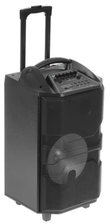 Портативная аудиосистема National NSM-V550, черный 