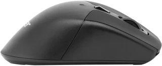 Мышь беспроводная Acer OMR170, черный 