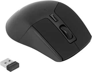 Мышь беспроводная Acer OMR170, черный 