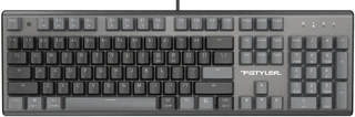 Клавиатура проводная A4Tech Fstyler FS100 Neon, черный 