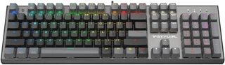 Клавиатура проводная A4Tech Fstyler FS100 Neon, черный 