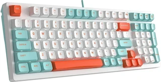 Клавиатура проводная A4Tech Fstyler FS300, белый 