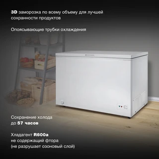 Морозильный ларь Hyundai CH3091WT 