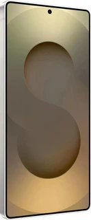 Смартфон 6.9" Samsung Galaxy S25 Ultra 12/256Gb, серый титан 