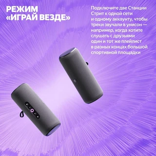 Умная колонка Яндекс.Станция Стрит Black 