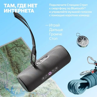Умная колонка Яндекс.Станция Стрит Black 