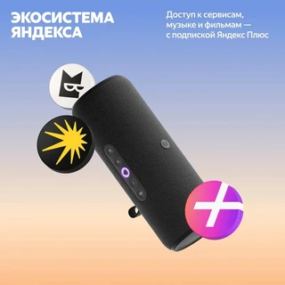 Умная колонка Яндекс.Станция Стрит Black 