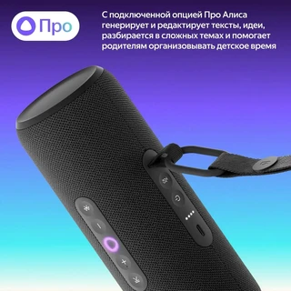 Умная колонка Яндекс.Станция Стрит Black 