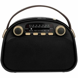 Радиоприемник Ritmix RPR-040, черный 