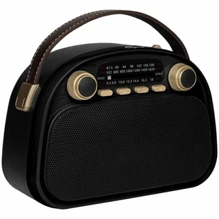 Радиоприемник Ritmix RPR-040, черный 