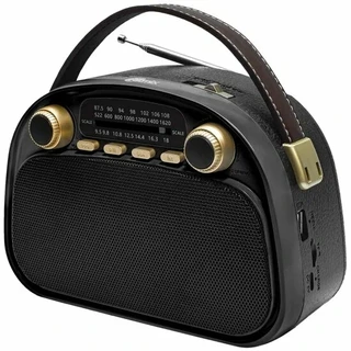 Радиоприемник Ritmix RPR-040, черный 