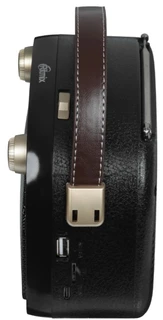 Радиоприемник Ritmix RPR-040, черный 