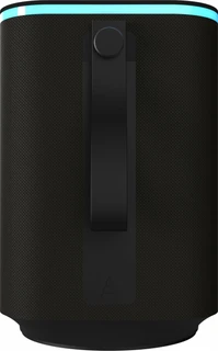 Колонка портативная Ritmix SP-340B, черный 
