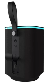 Колонка портативная Ritmix SP-340B, черный 