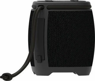 Колонка портативная Ritmix SP-310B, черный 