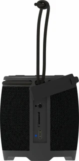 Колонка портативная Ritmix SP-310B, черный 