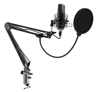 Микрофон вокальный Ritmix RDM-169, черный 