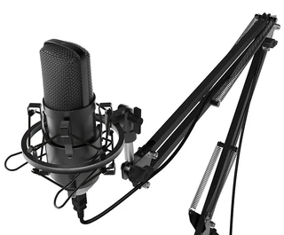 Микрофон вокальный Ritmix RDM-169, черный 