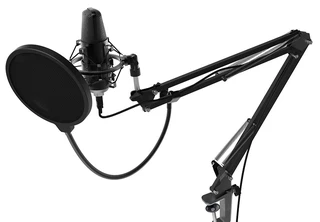 Микрофон вокальный Ritmix RDM-169, черный 