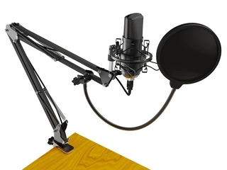 Микрофон вокальный Ritmix RDM-169, черный 