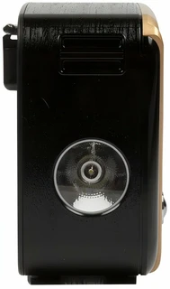 Радиоприемник Ritmix RPR-050, золотистый 