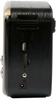 Радиоприемник Ritmix RPR-050, золотистый 