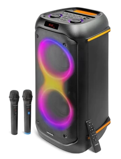Портативная аудиосистема Microlab PT602W, черный 