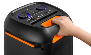 Портативная аудиосистема Microlab PT602W, черный 