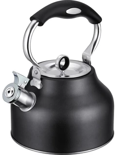 Чайник Regent inox Linea TEA, 2,5 л, со свистком 