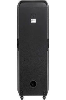 Портативная аудиосистема GoldStar GPA-907, черный 