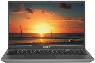 Ноутбук 15.6" Rikor ARZ 73B27528 