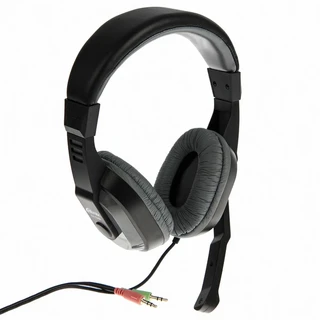 Наушники накладные Ritmix RH-534M, cерый 
