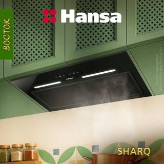 Встраиваемая вытяжка Hansa OMP6553BGH-G, черный 