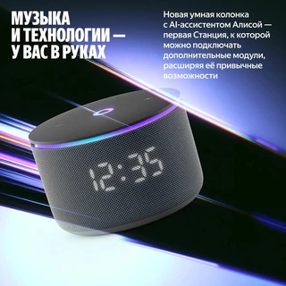 Умная колонка Яндекс Станция Мини 3 Про, черный 