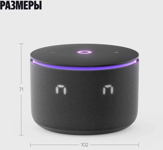 Умная колонка Яндекс Станция Мини 3 Про, черный 