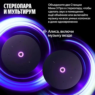 Умная колонка Яндекс Станция Мини 3 Про, серый 