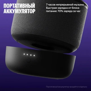 Умная колонка Яндекс Станция Мини 3 Про, серый 