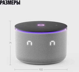 Умная колонка Яндекс Станция Мини 3 Про, серый 