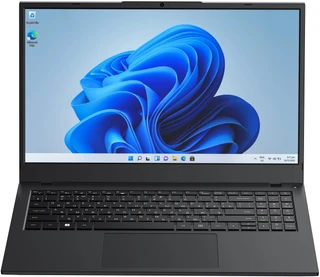 Ноутбук 15.6" RIKOR RN NINO 203.1/15/i5-1235U/2x8Gb/1x512Gb/Win11pro 