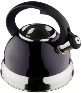 Чайник Катунь Зеркальная полоса, 2.5 л, индиго 