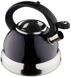 Чайник Катунь Зеркальная полоса, 2.5 л, индиго 