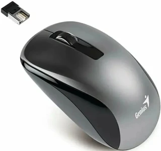 Мышь беспроводная Genius NX-7010, серый 