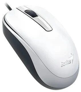 Мышь Genius DX-120, белый 