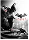 Игра Sony PlayStation 3 Batman: Аркхем Сити Collector's Edition вид 3