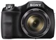 Фотоаппарат цифровой Sony DSC-H300 черный вид 1