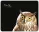 Коврик для мыши Dialog PM-H15 Owl вид 1